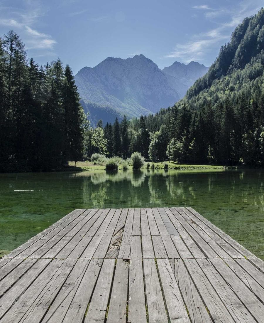 Codex Collection Aurum