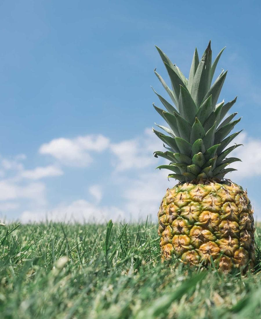 Blueprint Collection Monograph