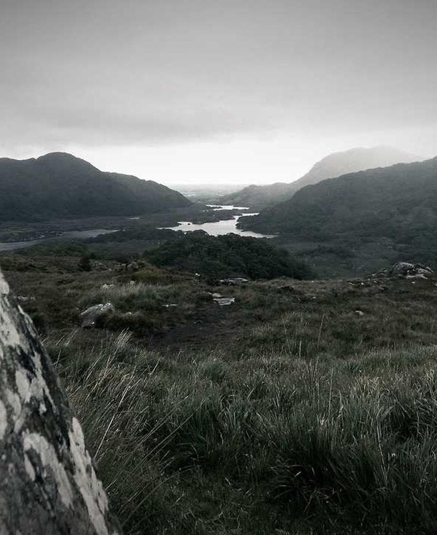 Codex Collection Oculos