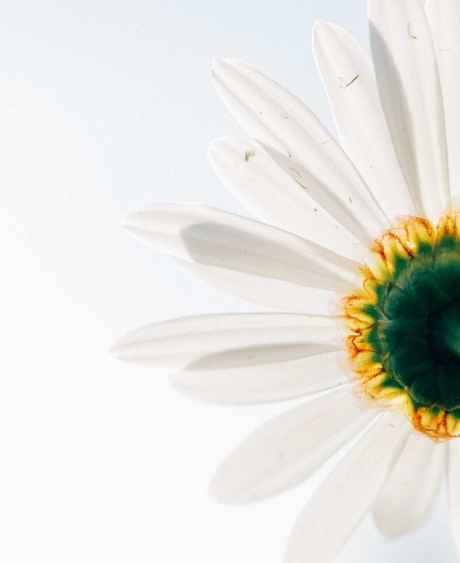 Arcana Collection XP Hills